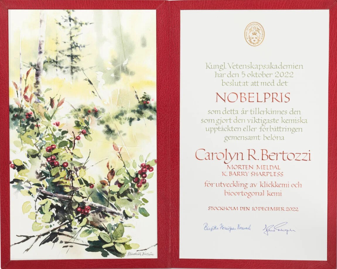 Nobel Prize diploma in Chemistry to Carolyn Bertozzi by artist Elisabeth Biström