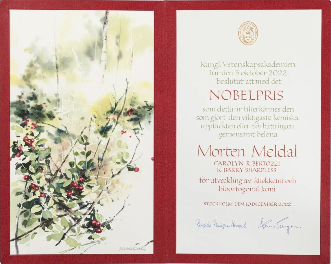 Nobel Prize diploma in Chemistry 2022 by artist Elisabeth Biström